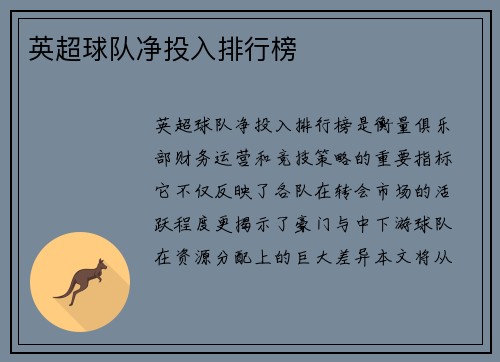 英超球队净投入排行榜
